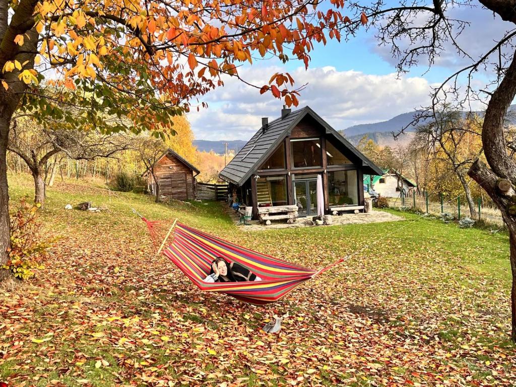 a dog sitting in a hammock in front of a cabin at Dom dwa światy in Międzybrodzie Bialskie
