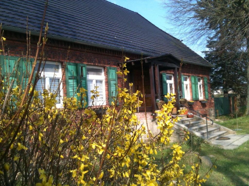 ein kleines Backsteinhaus mit grünen Rollläden darauf in der Unterkunft Zur schönen Müllerin in Wredenhagen