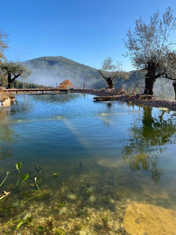 a large body of water with trees in it at Quinta das Riquezas in Dornes