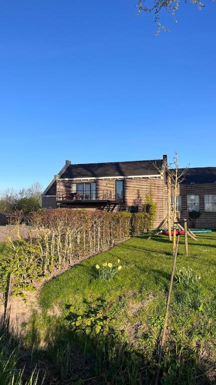 a house with a row of vines in a yard at Gastenverblijf spoarsicht in Lioessens