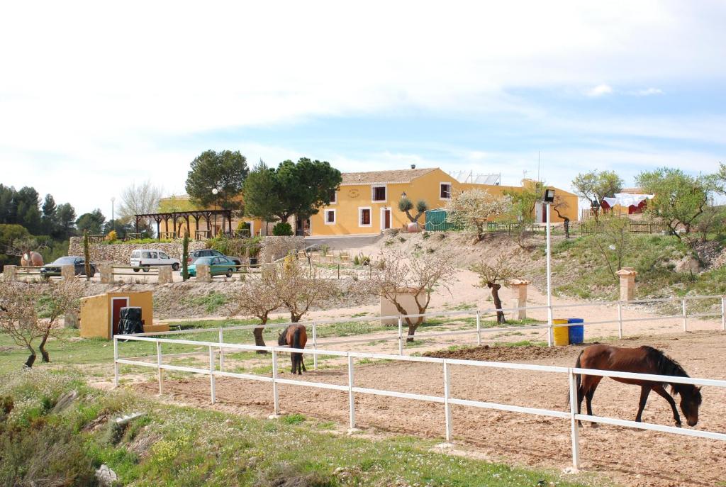 deux chevaux paissant dans un champ devant une maison dans l'établissement Complejo Rural Las Lomas de Biar, à Biar