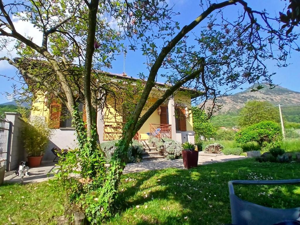 a house with a tree in the yard at Casa La V G in Almese