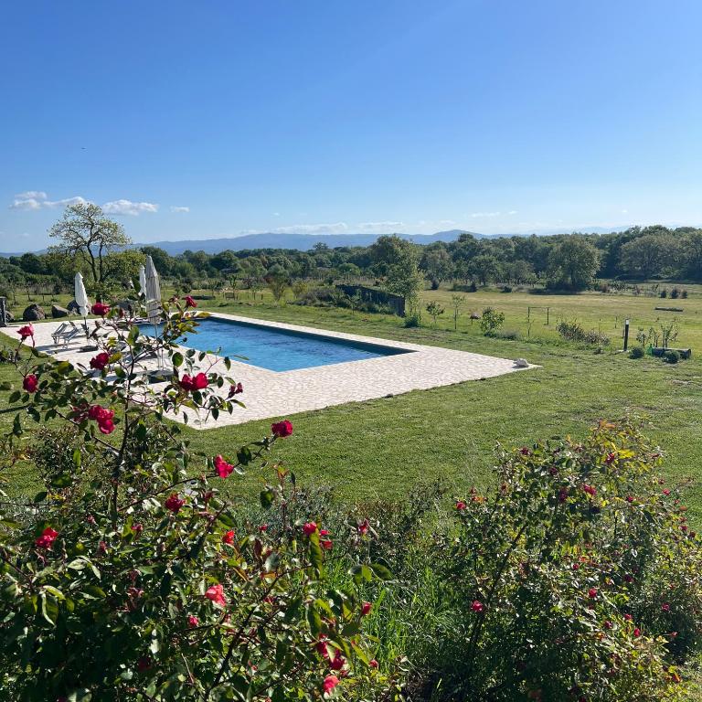 Podere l'Alfina B&B - Bio Agriturismo