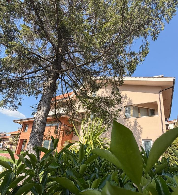 a building with a tree in front of it at Firmamento Royal House in Rocca Priora