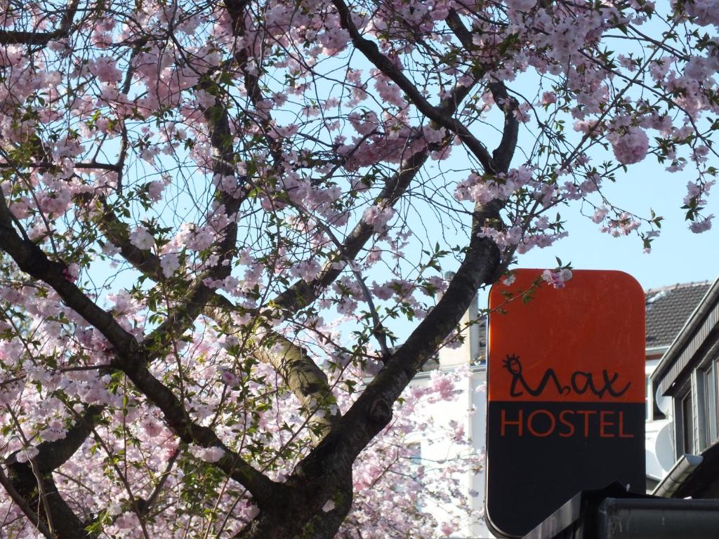 a tree with pink flowers in front of a house at Max Hostel in Bonn