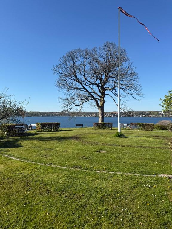 a park with a tree and a pole in the grass at Bondegård med havudsigt in Kolding