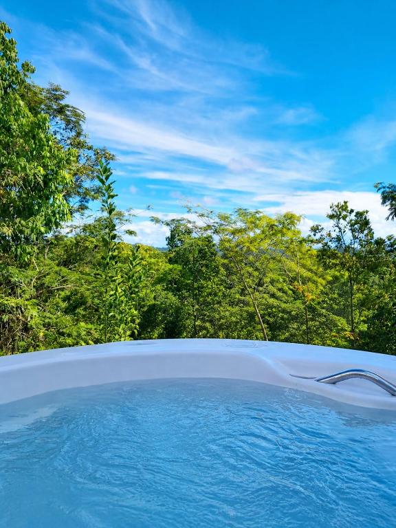 a pool of water with trees in the background at Casa com piscina e hidromassagem in Ilhéus