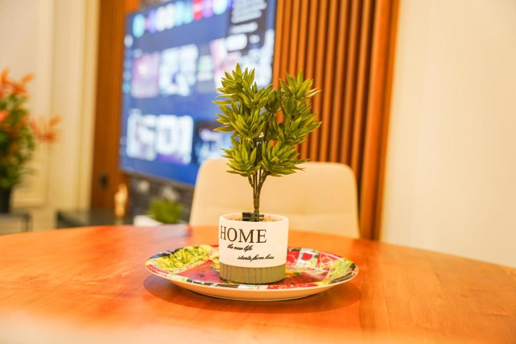 a potted plant sitting on a plate on a table at Cuzi House in Librazhd