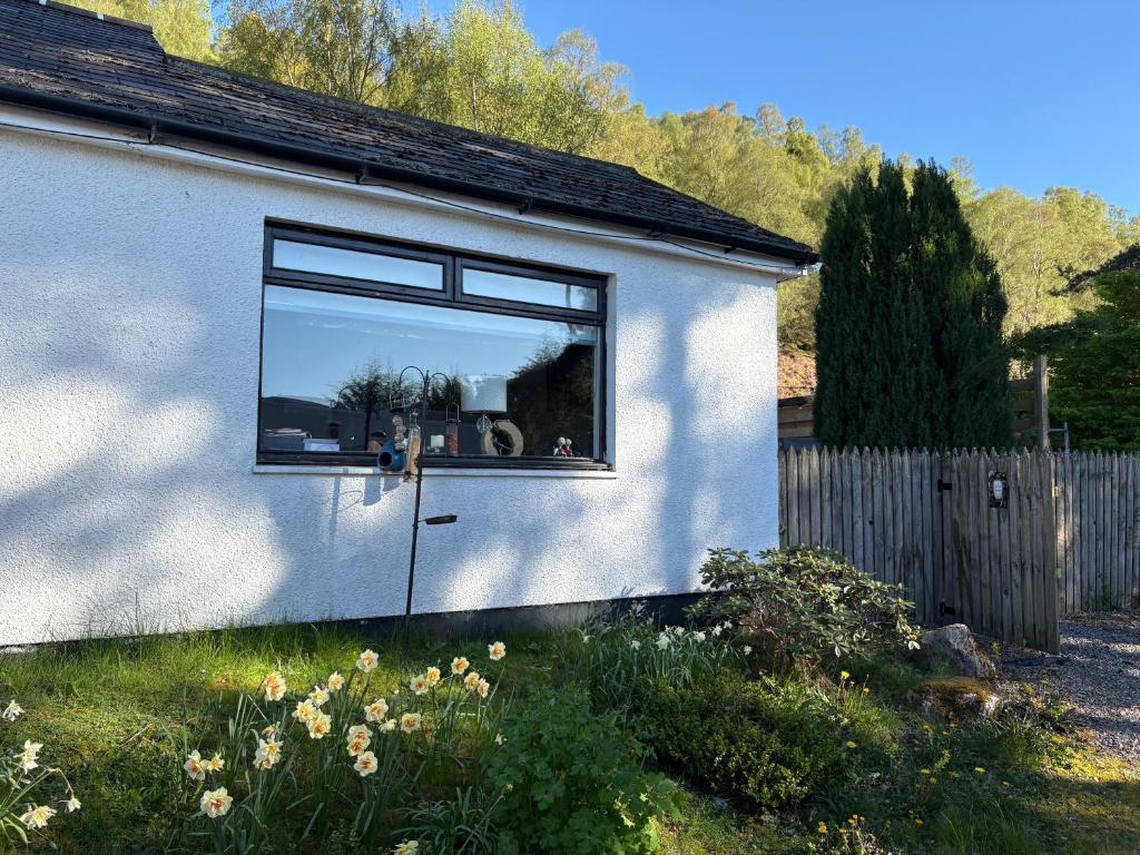 a reflection of a dog in the window of a house at Stags View in Invergarry