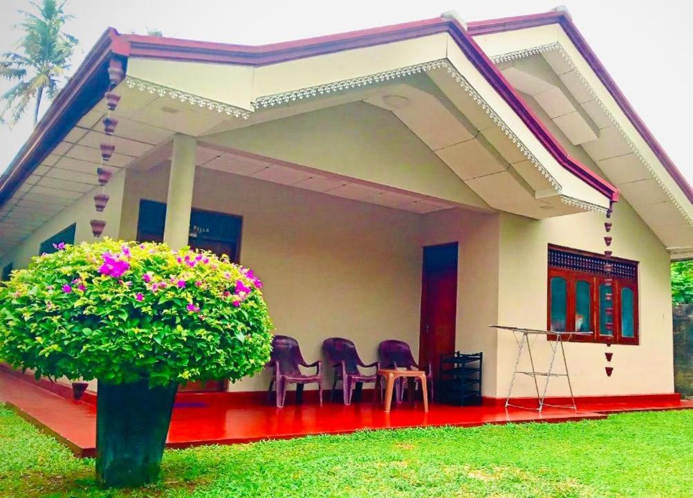 a house with chairs and a plant in the yard at Mutu villa in Dickwella