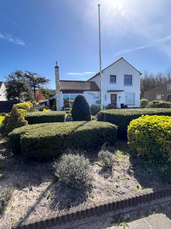 a garden with bushes in front of a house at Villa 't Haasduin in Wijk aan Zee