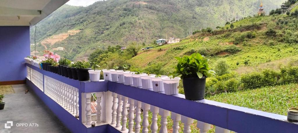 a balcony with potted plants on top of a mountain at Nima homestay in Dirang Dzong