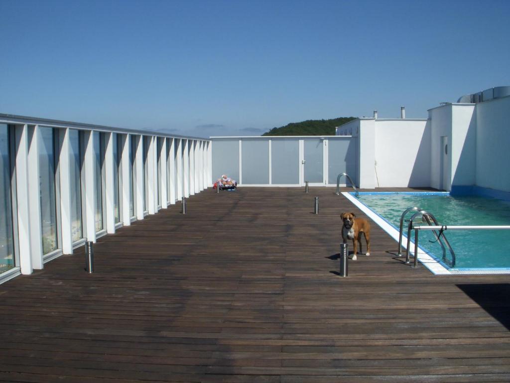 Bazén v ubytování Wechta with Sea View, Free Rooftop Pool & Sauna nebo v jeho okolí