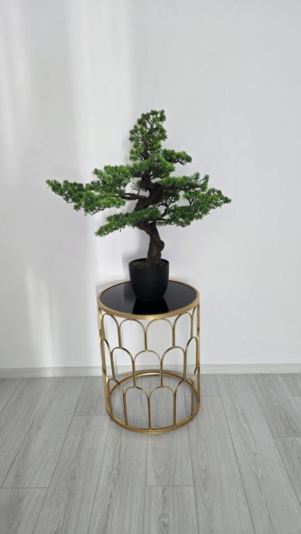 a bonsai tree on a gold stand in a room at Cozy apartment in Šiauliai
