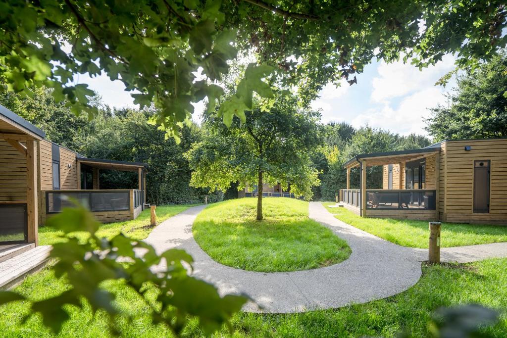 a house with a tree in the middle of a yard at Urban Gardens Ieper in Ieper