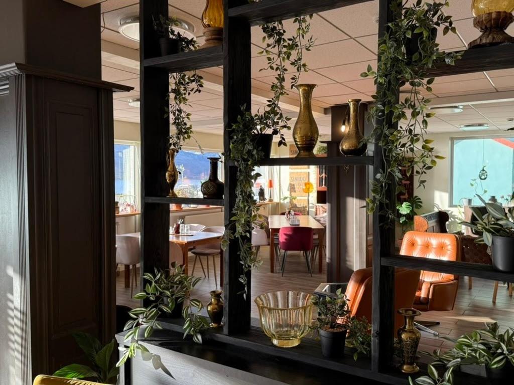 a mirror in a room with plants on it at Hildibrand Apartment Hotel in Neskaupstaður