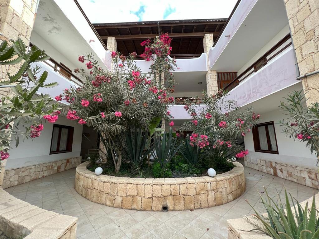 a large planter with pink flowers in a building at Boa Vista apart Ca greta - Estoril Beach in Sal Rei