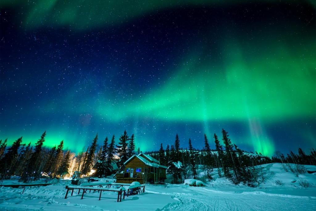 an aurora shines in the sky over a cabin at Yellow Dog Lodge, Inc. in Camlaren