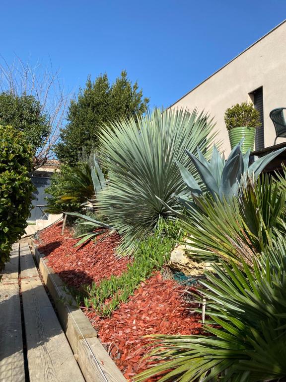 a garden with palm trees and plants in front of a building at Sous le figuier in Marseille