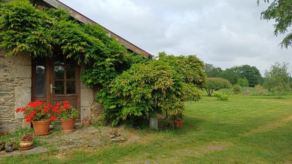 a house with plants on the side of it at gite art et nature in Thorigny