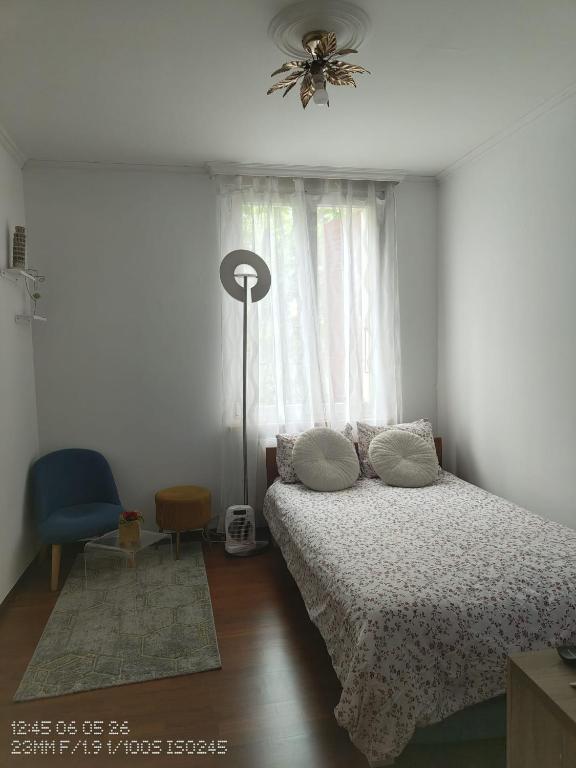 a bedroom with a bed and a window at Chez Carolayn in Geneva