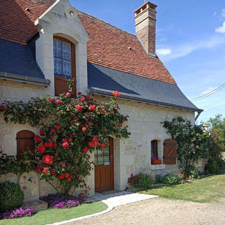 a house with a bush of red roses in front of it at Gîte Roses De Loire in Bréhémont
