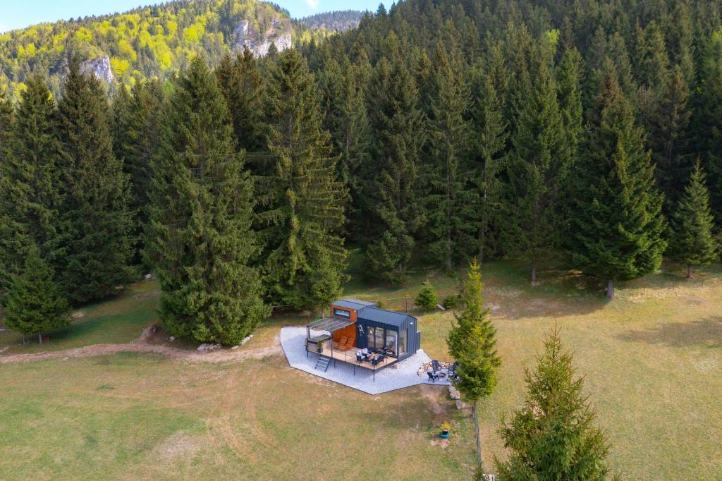 an aerial view of a house in the middle of a forest at Na samote u Noemi in Komjatná