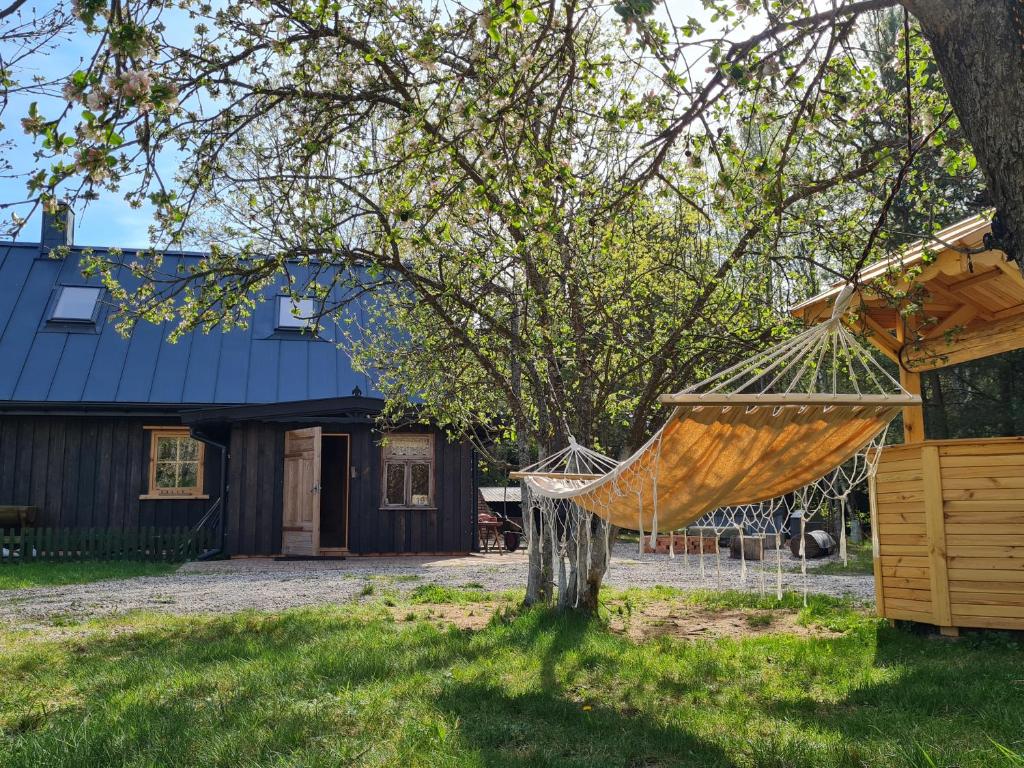 a hammock hanging from a tree in front of a house at Siedlisko Leśny Jaśmin in Łuka