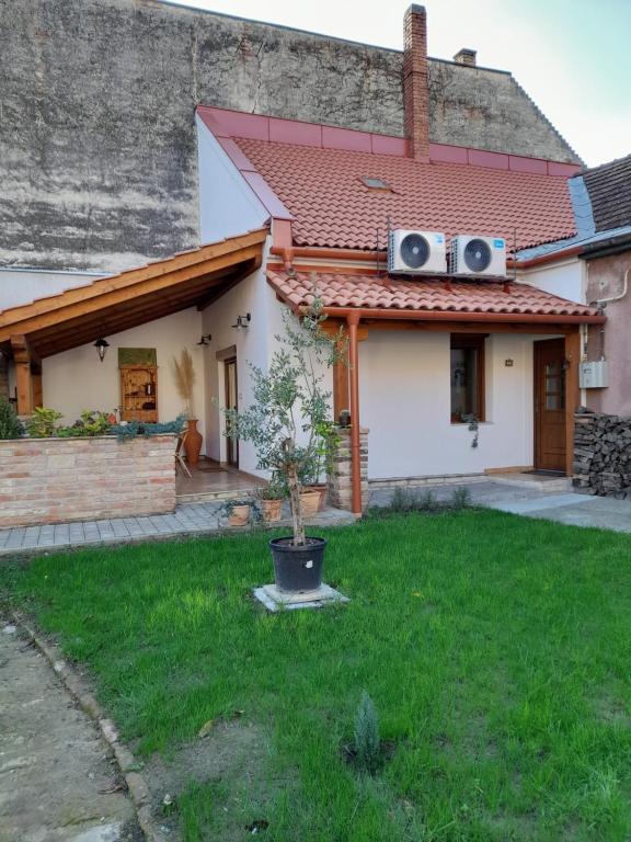 a house with two speakers on the roof at Kasza Rusztika in Szekszárd