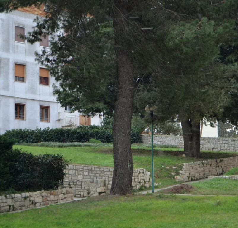 La Casa Di Olga - 19