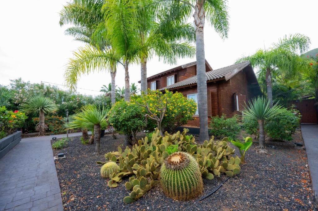 a garden of cacti and palm trees in front of a house at El Rincón Del Huroncillo in Tejina