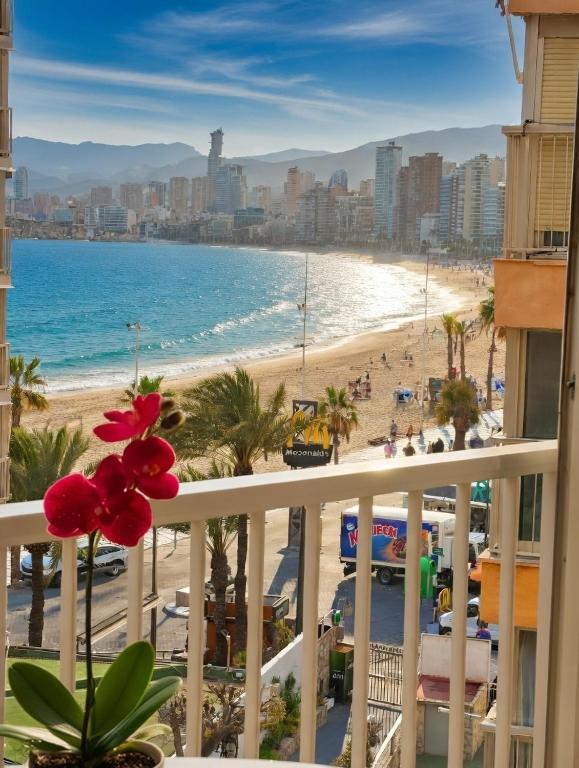 Rita Home Benidorm Carabelas 2