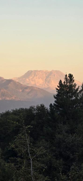 a group of trees with mountains in the background at cabañas los treiles in Cumpeu