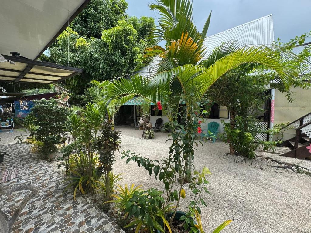 Pension Mitiana - photo 11 - Maupiti, Polynésie