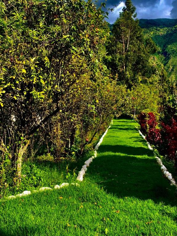a path through a field of grass with trees at Hotel Bellavista in Calca