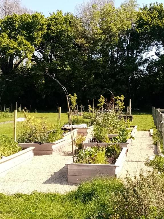 a garden with several pots of plants in a field at Ginrosa B and B accommodation in Featherston
