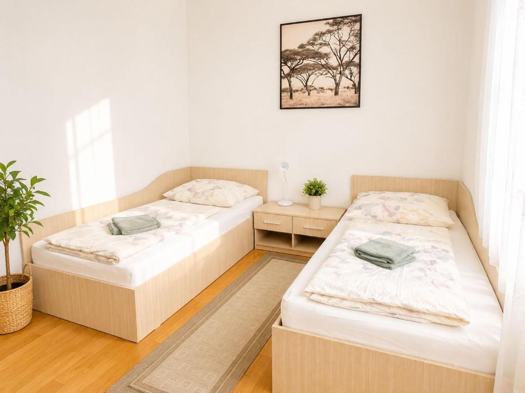 two beds in a small room with a plant at Haus Berta, Self Check-in, Kochmöglichkeit, Einzelbetten in Braunau am Inn