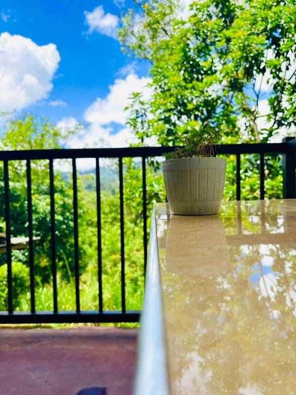 a potted plant sitting on top of a fence at Oli Guest House Diyathalawa in Diyatalawa