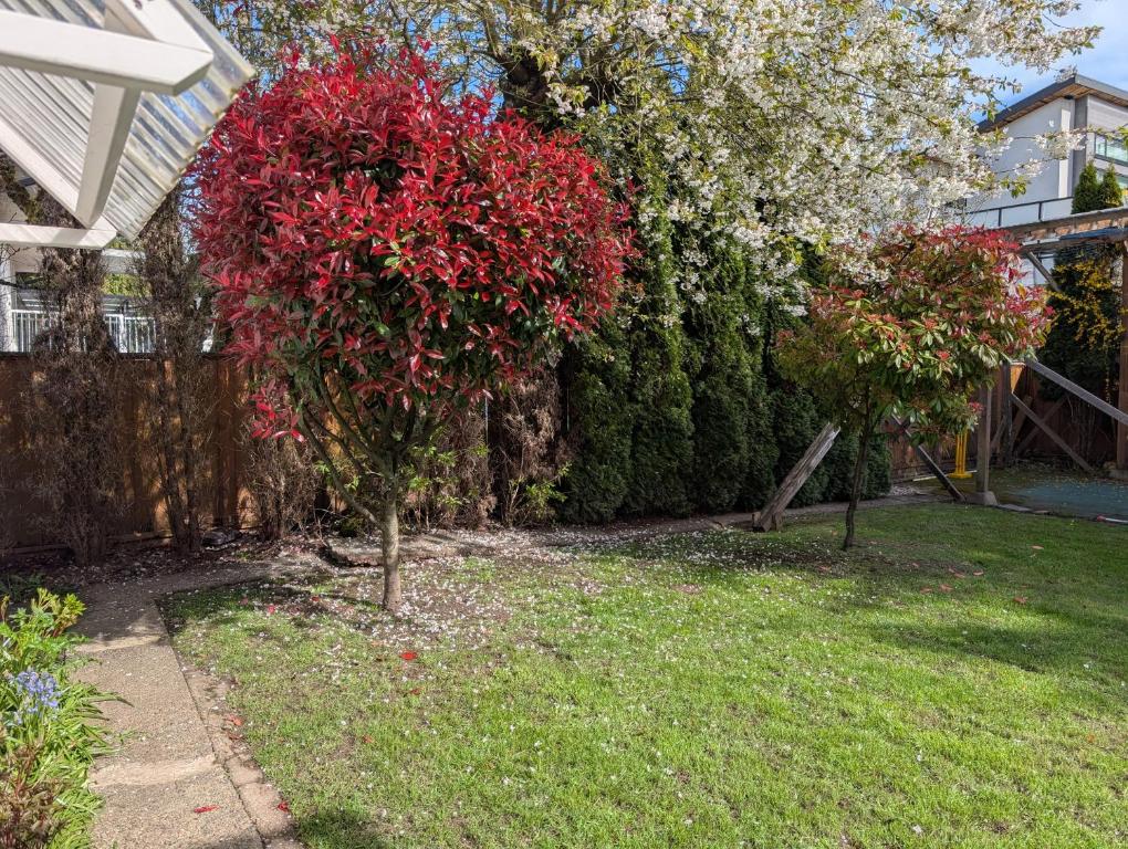 a garden with red trees and bushes in a yard at Modern, private & luxurious executive suite in Delta