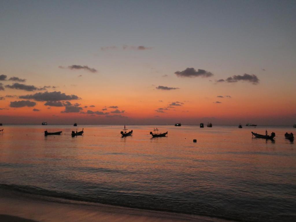 Viking House Apartment - 1