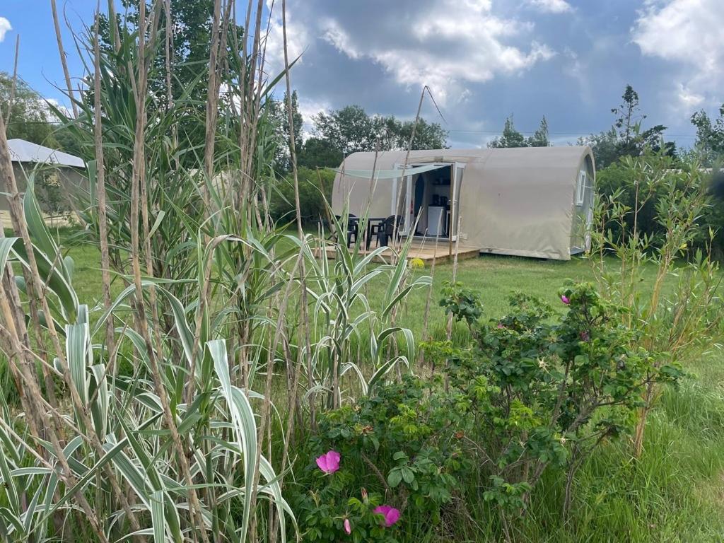 Camping Les Chagnelles - Mobil-home