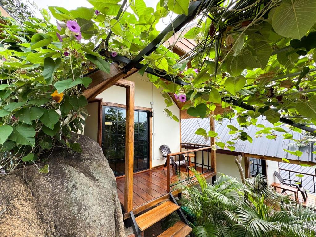 a house with wooden floors and green plants at Yod Khao Muay Thai Camp in Ban Nok