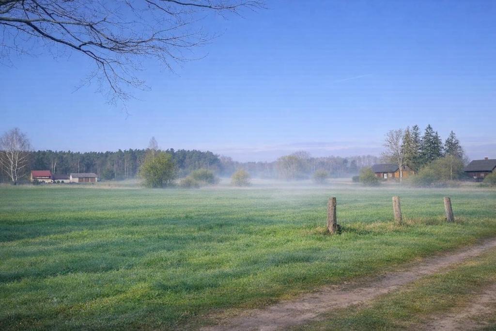 a field of green grass with a dirt road at Agroturystyka Ranczo u Oli in Krynki Białokunki
