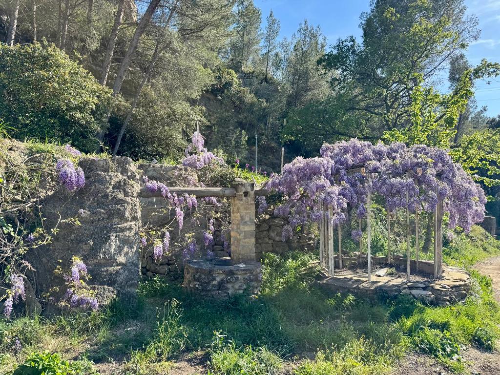 a garden with purple flowers on a stone wall at Maison en campagne in Salon-de-Provence