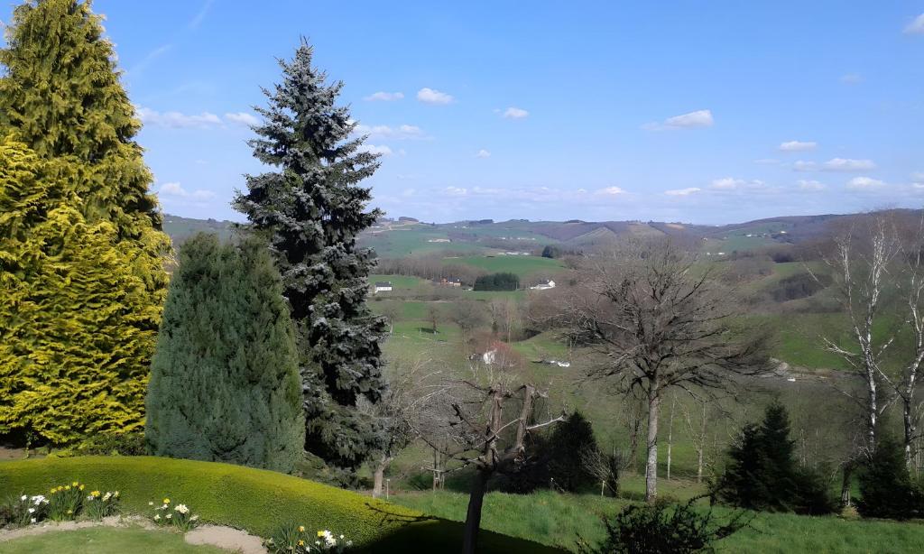two tall trees on a hill with a green field at Gîte Les Sapins Douglas in Sansac-Veinazés