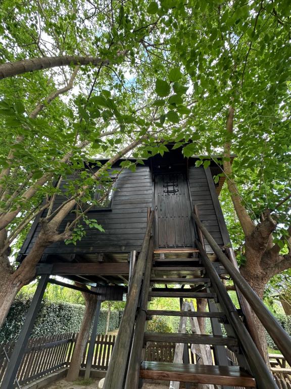 Nature Tree House Casa sobre los árboles - imagen 2