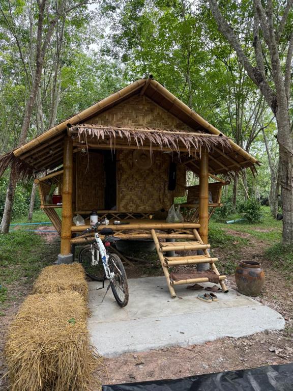 a picnic shelter with a bike parked in front of it at Cat Hut Farmstay in Ban Khok Yom