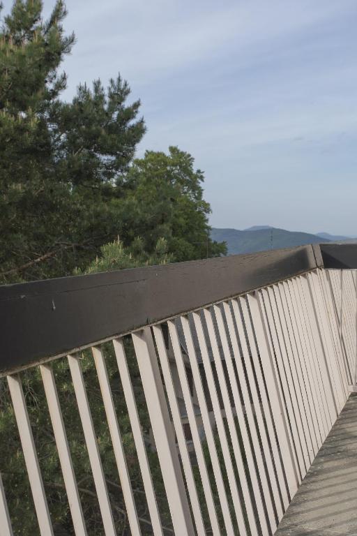 Les Épis – photo 11