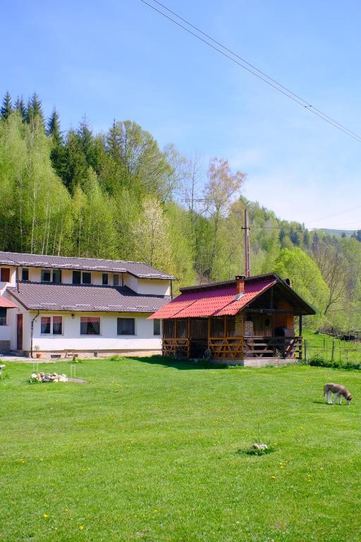 a building with a grass field in front of a house at Casa Bunicii in Podu Dîmboviţei
