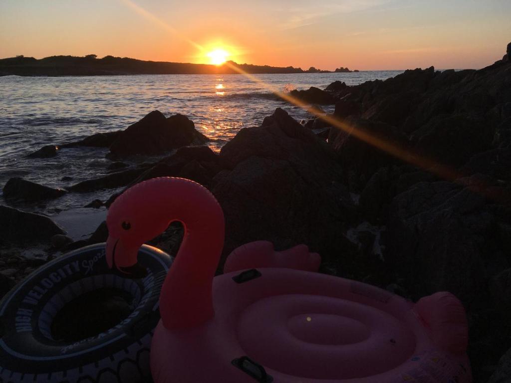 a pink swan in front of the sunset at Sunset at Horizon in Castel